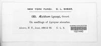 Image Associated With the Occurence